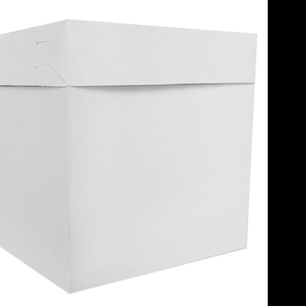 CAJA BLANCA PADI BALON 22X22X22 JGO E12